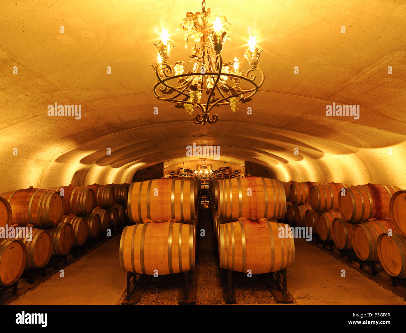 Canada,Ontario,Vineland,wine barrel cellar Vineland Estates Winery