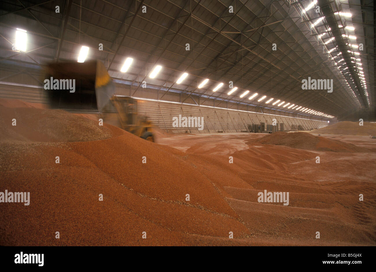 Interior Kwinana Grain Handling Terminal Western Australia Australia Stock Photo