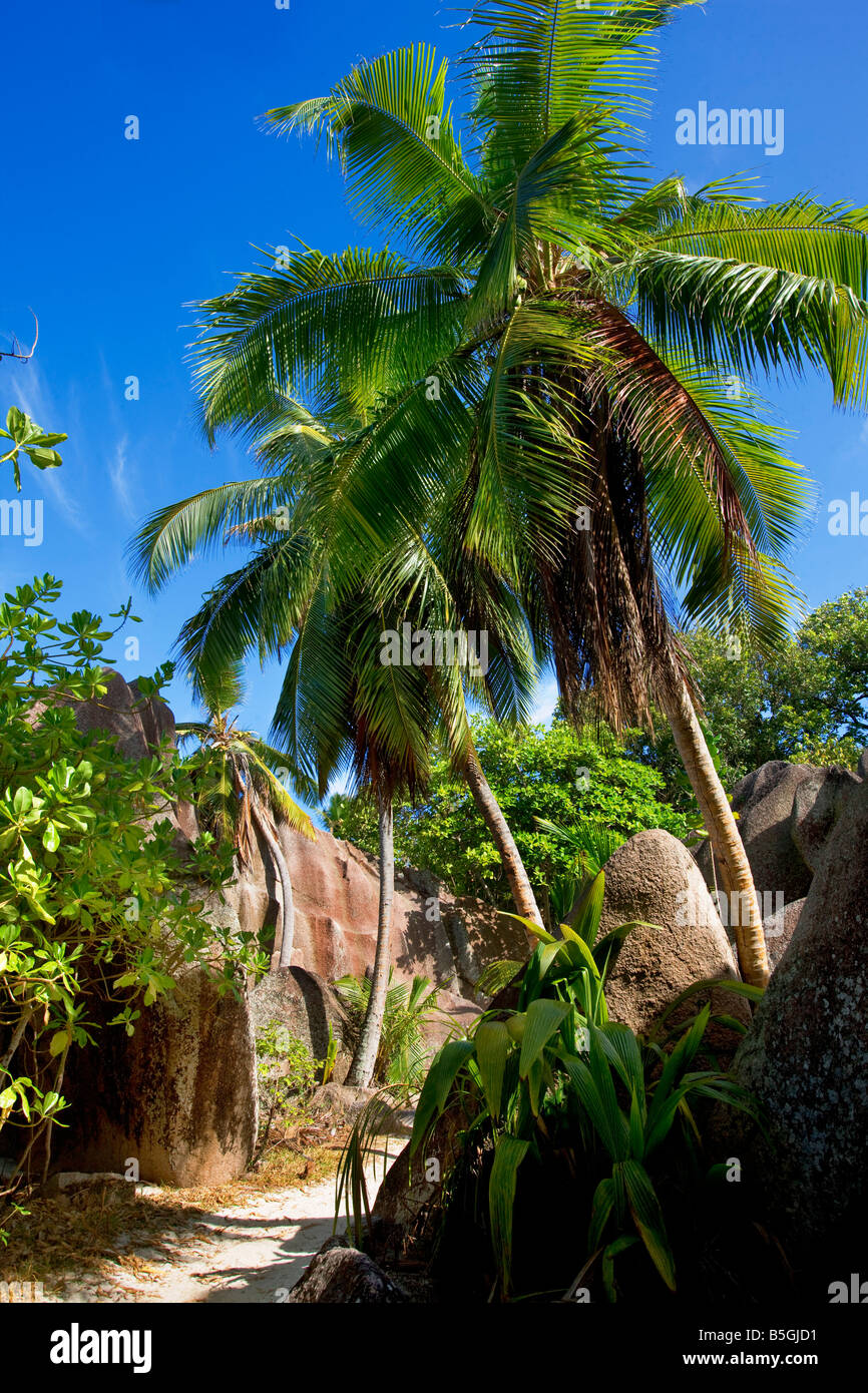 la digue island Seychelles Stock Photo