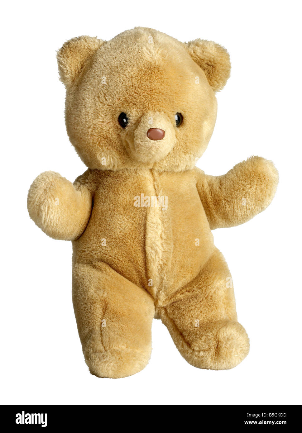 Hug animal Cut Out Stock Images & Pictures Alamy