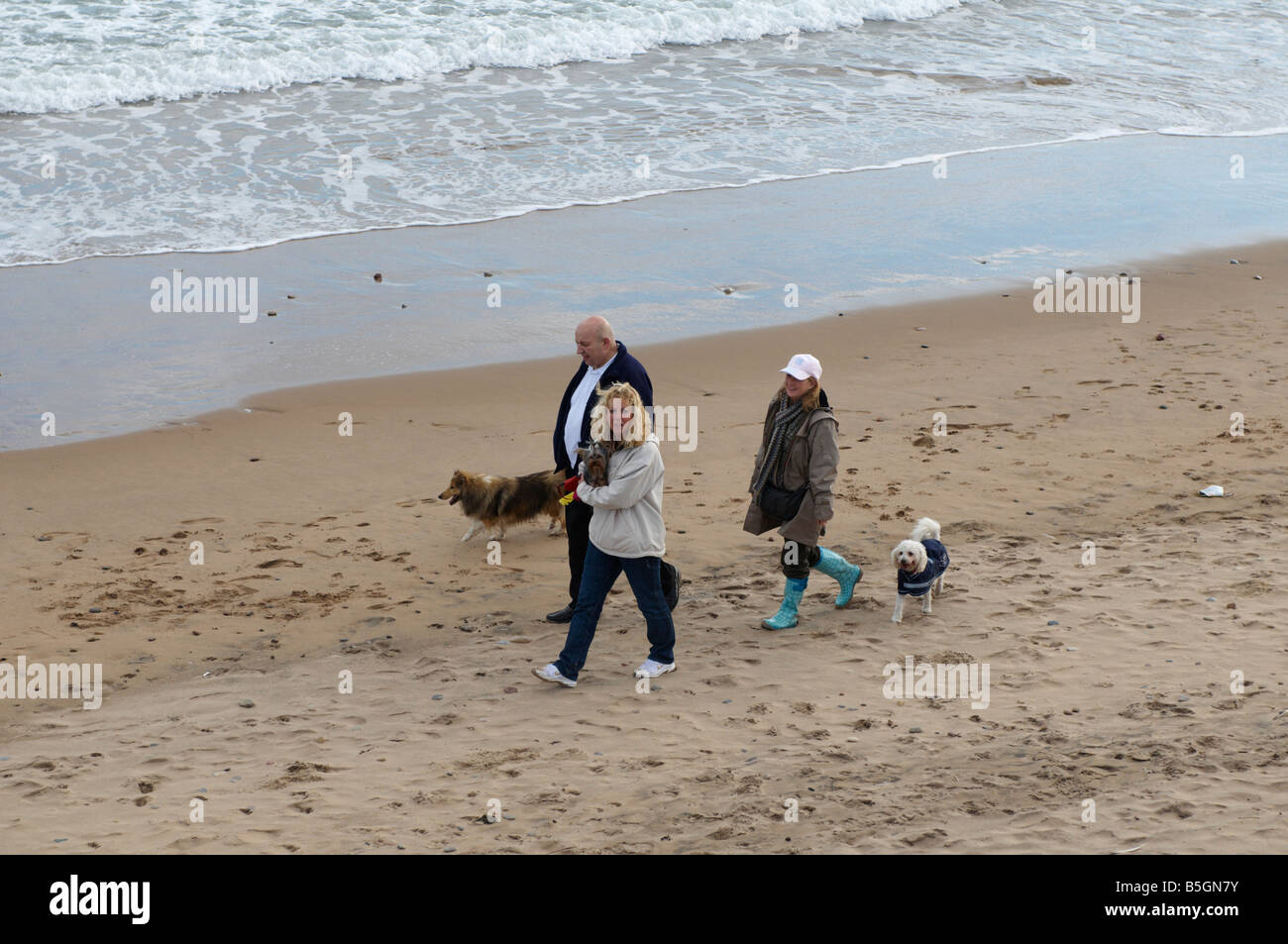 People walking dogs Aberdeen Beach Scotland UK Stock Photo