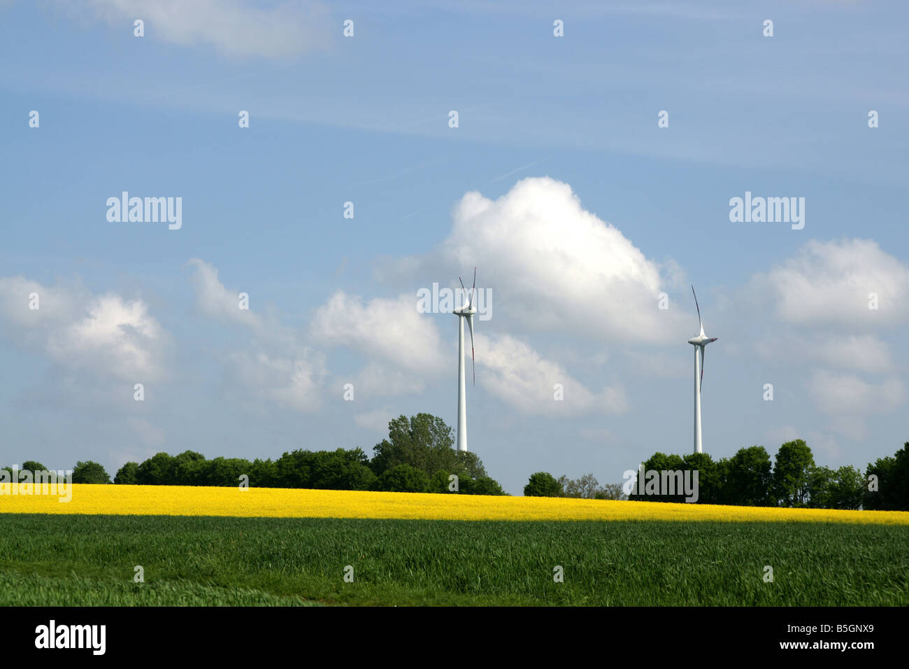 Windgenerators in rapeseed fields Stock Photo