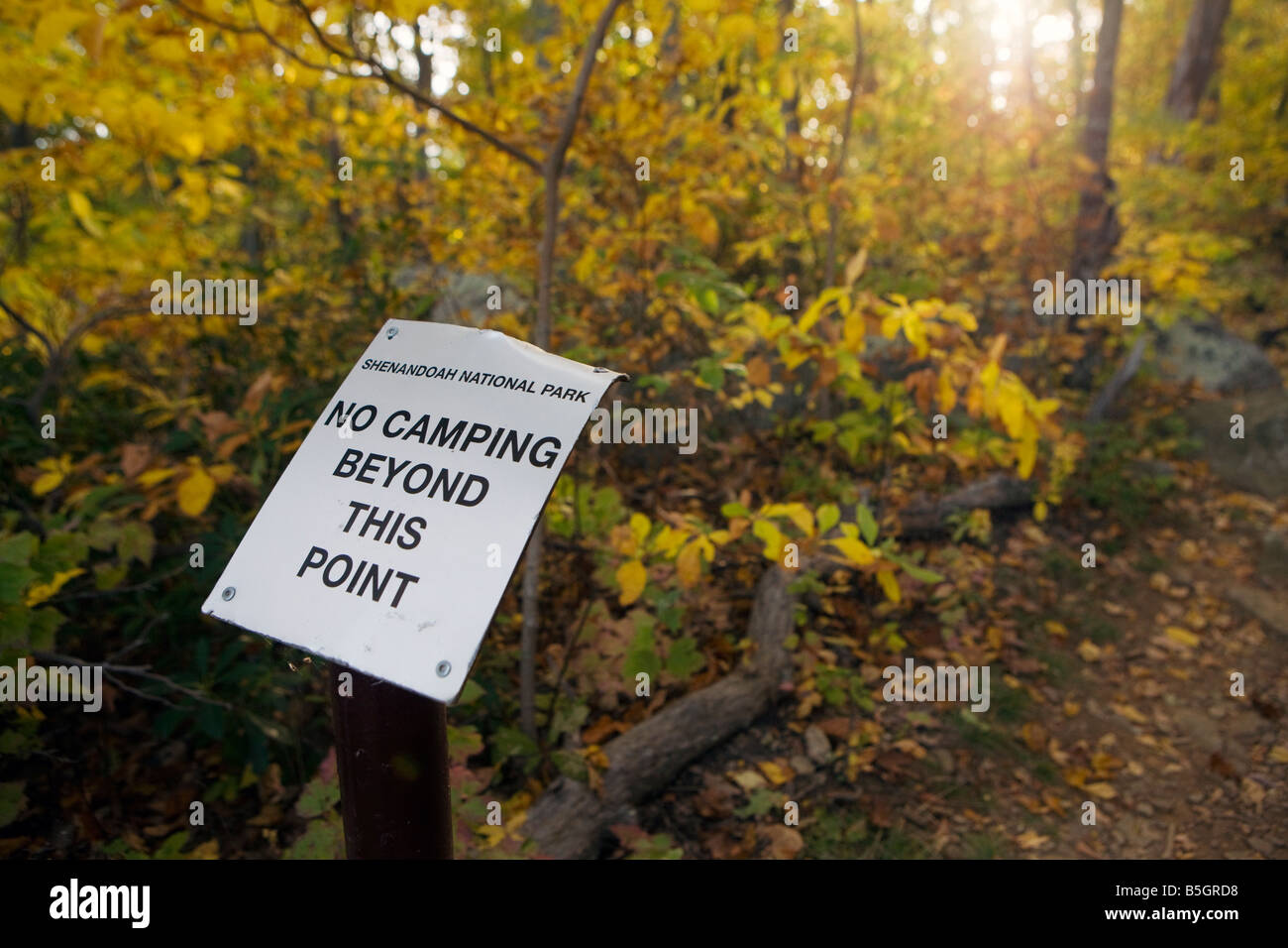 Sign warning 'No Camping Beyond This Point' along a trail, Old Rag Mountain, Shenandoah National Park, Virginia. Stock Photo