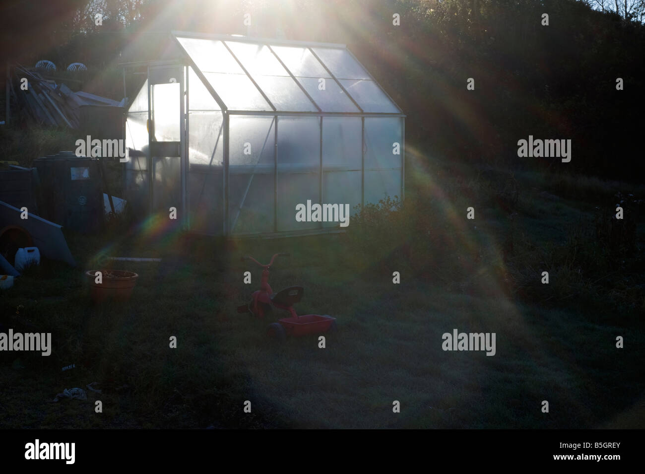 A greenhouse in sunlight, Sweden Stock Photo Alamy