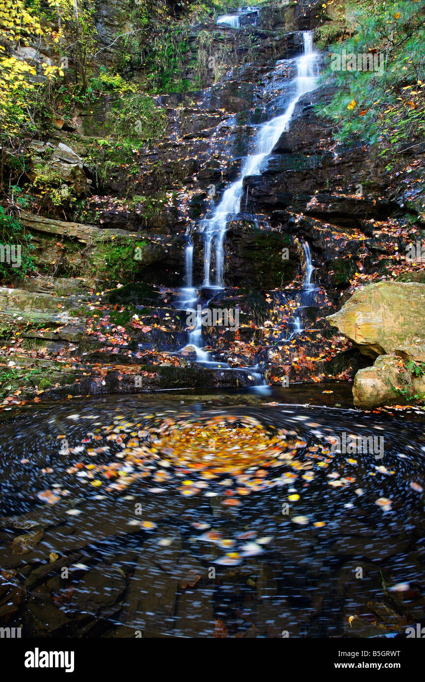 Reedy Branch Falls in South Carolina Sumter National Forest Stock Photo