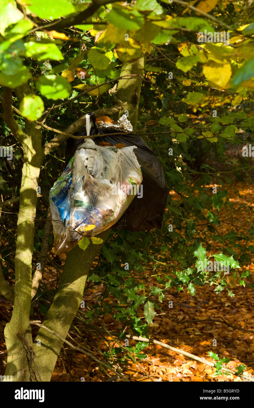 Litter, UK. Stock Photo