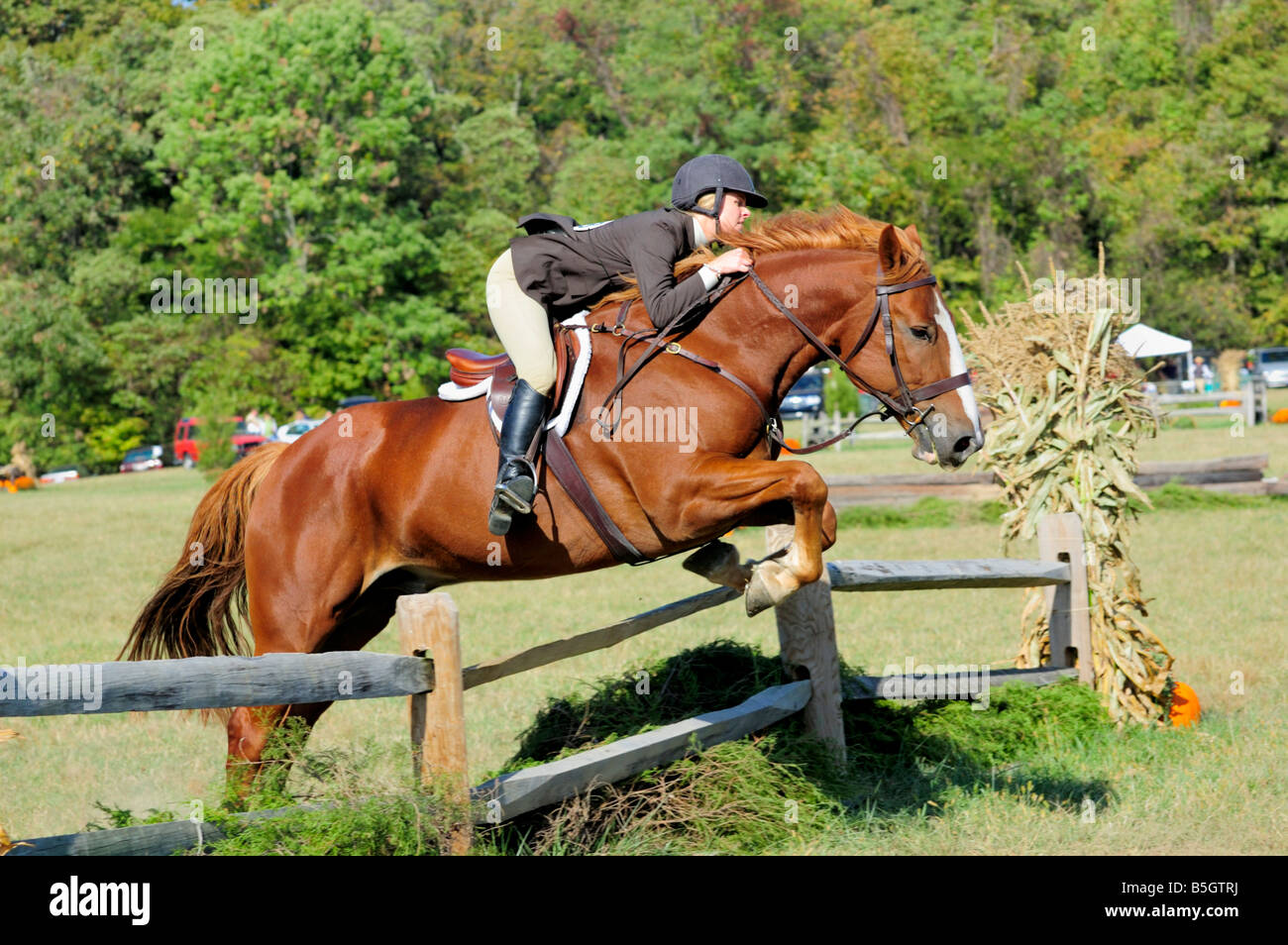 Annual Hunter Trials of The Camargo Hunt in Indian Hill Ohio USA Stock