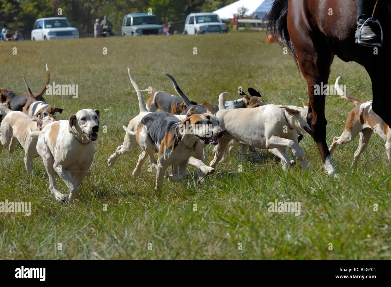 Annual Hunter Trials of The Camargo Hunt in Indian Hill Ohio USA Stock