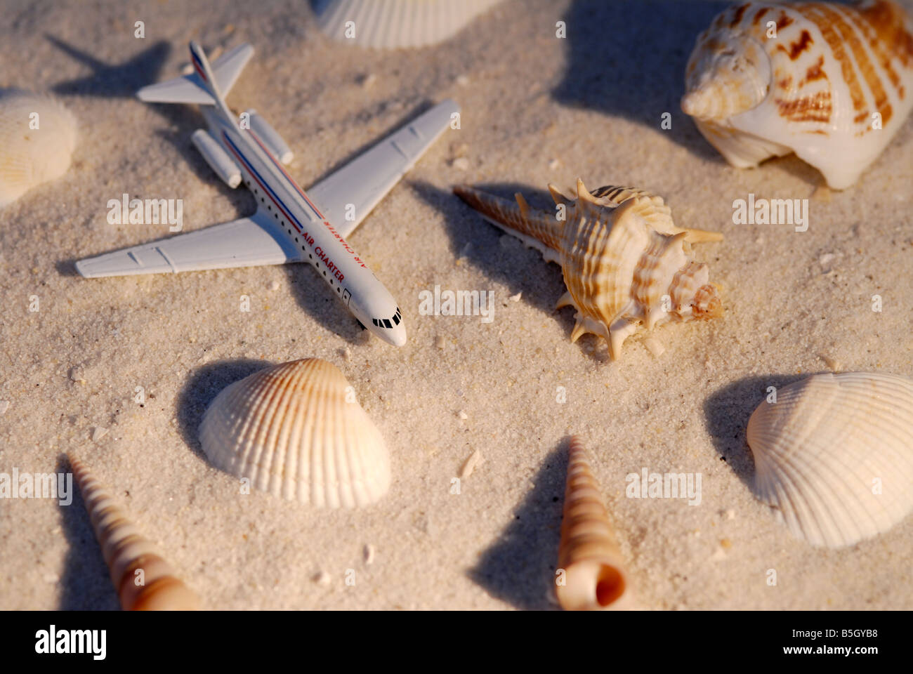 toy aircraft and mussels in the sand, symbol for holiday and travelling Stock Photo