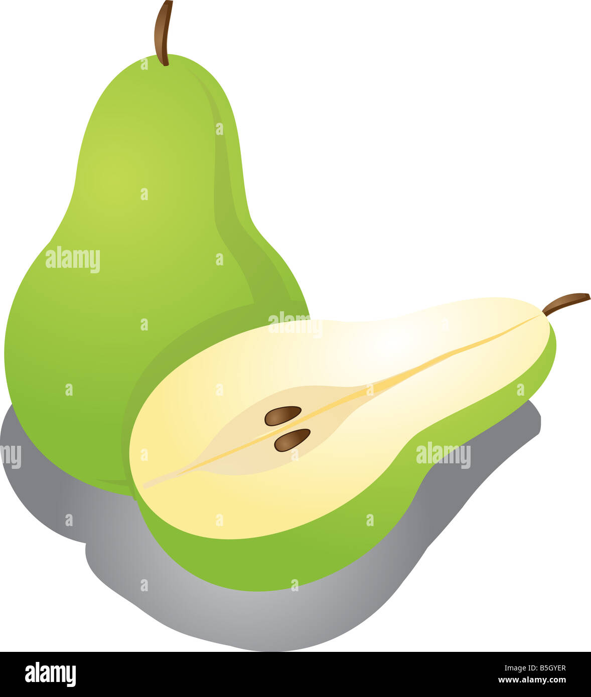 Pear illustration whole fruit and cut half Stock Photo - Alamy