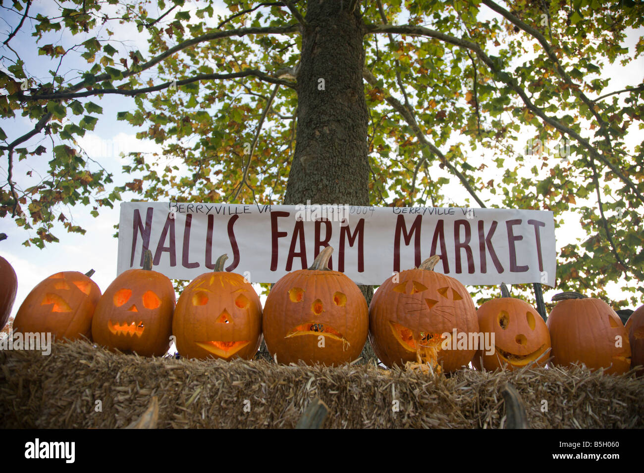Nalls Farm Market pumpkin display at the 2008 Shenandoah Valley Hot Air Balloon and Wine Festival in Millwood, Virginia. Stock Photo