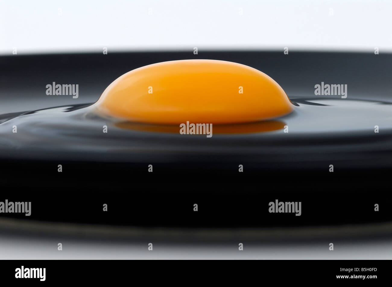 raw egg upon a black plate Stock Photo