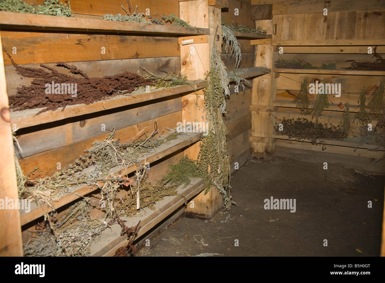 Drying of herbs and grasses at Huron Indian Native American Aboriginal Village in Midland,Ontario,Canada Stock Photo