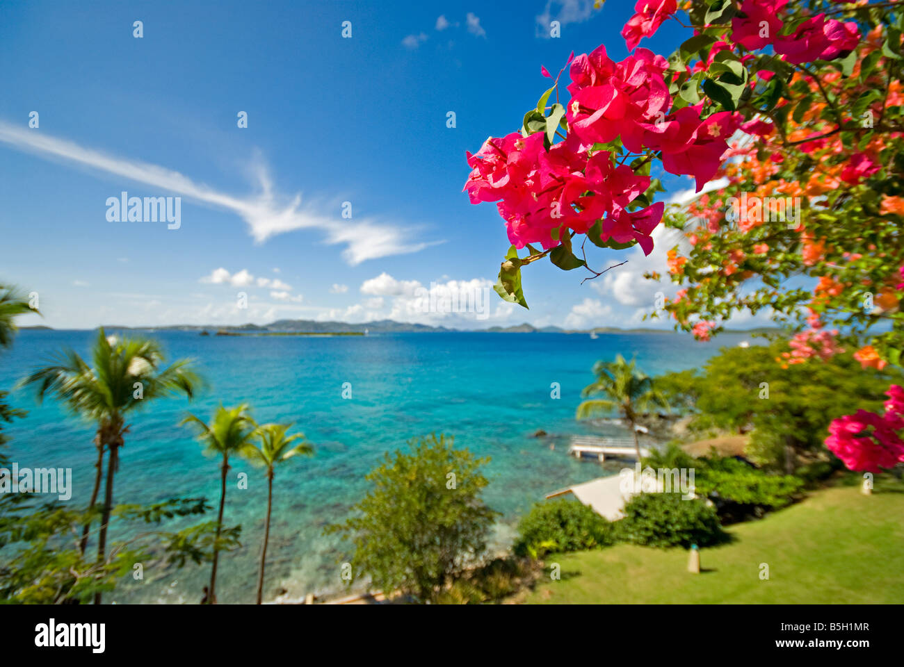 ST JOHN, US Virgin Islands - A view out over the clear Caribbean waters off Cruz Bay in St John in the US Virgin Islands, with pink flowers at right (focus is on the flowers). Stock Photo