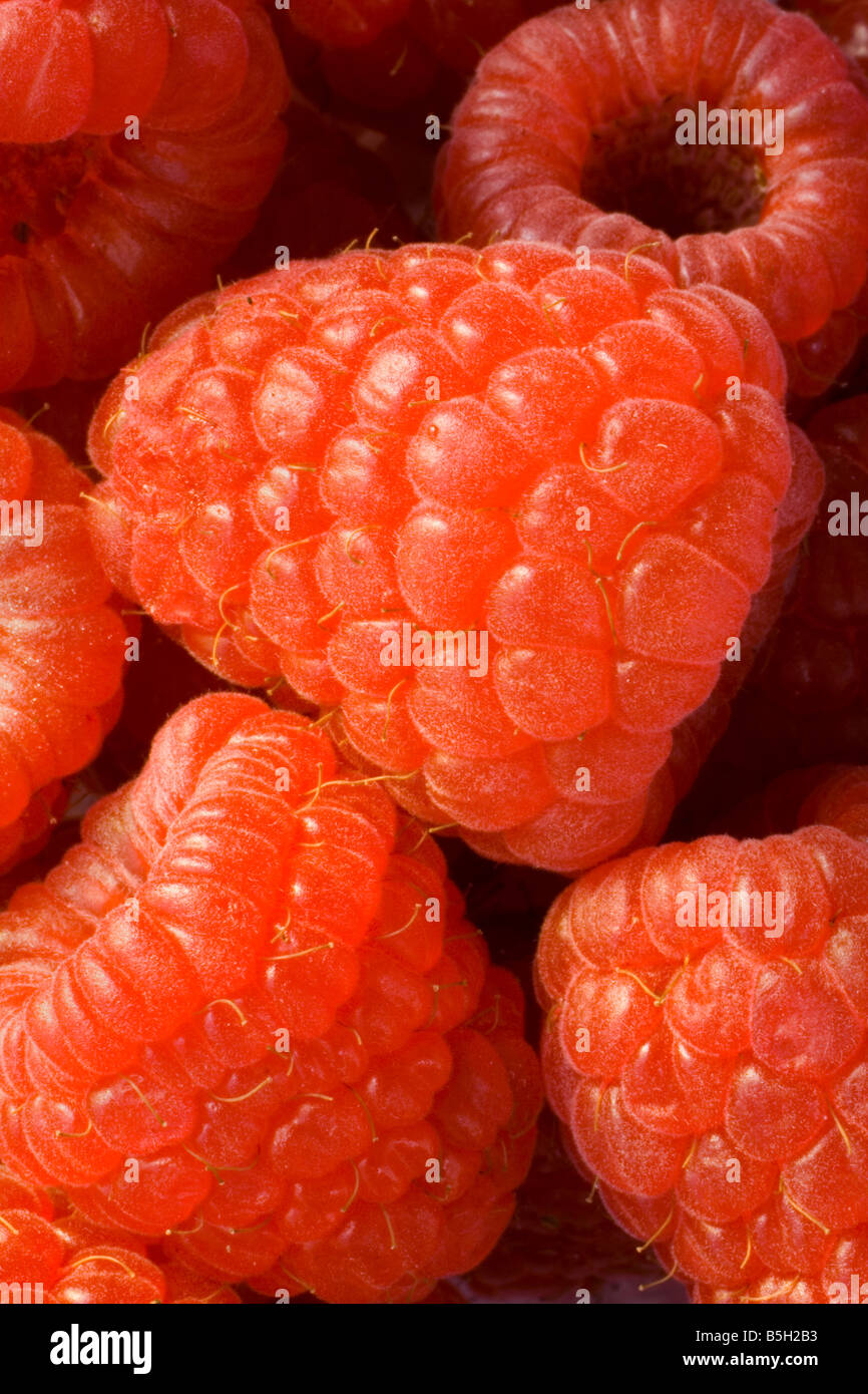Raspberries close hi-res stock photography and images - Alamy