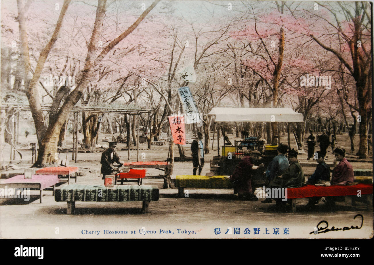 Tokyo park circa 1910 Stock Photo