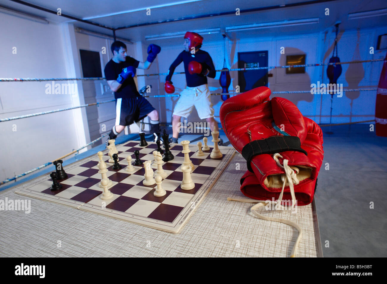 World Chess Boxing Organisation