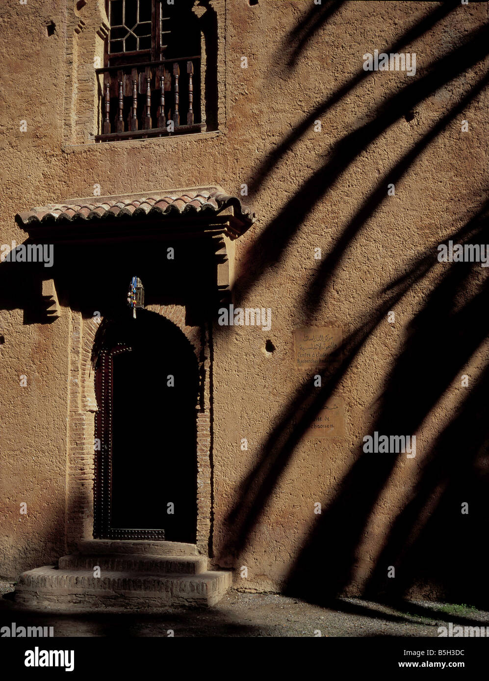 The shadows of a palm tree fall over a rough building wall in the