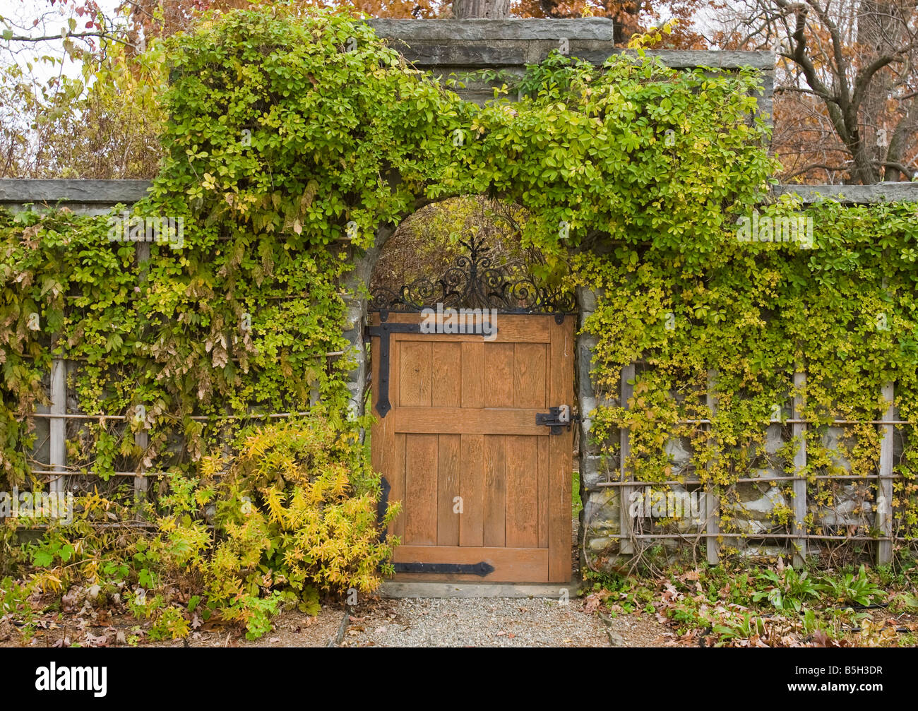 Door in a garden Stock Photo Alamy