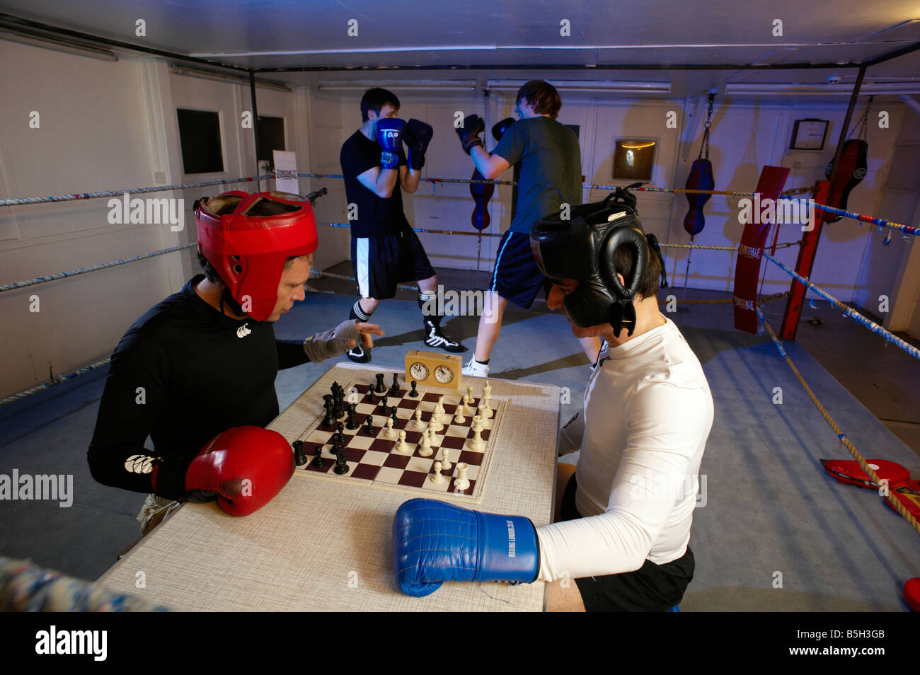 Chess boxing championship hi-res stock photography and images - Alamy