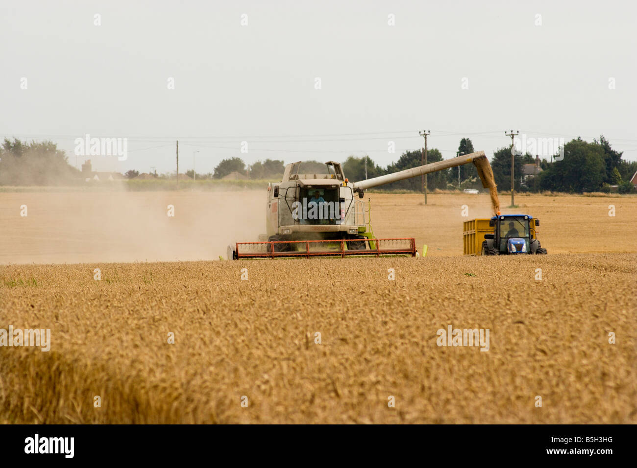 Farmer in combine harvester action hi-res stock photography and images ...