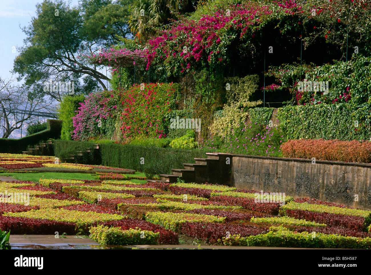 Botanic Garden of Madeira Stock Photo - Alamy