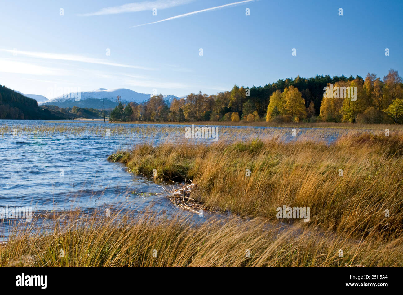 Loch Pityoulish Badenoch and Strathspey Aviemore Invernessshire