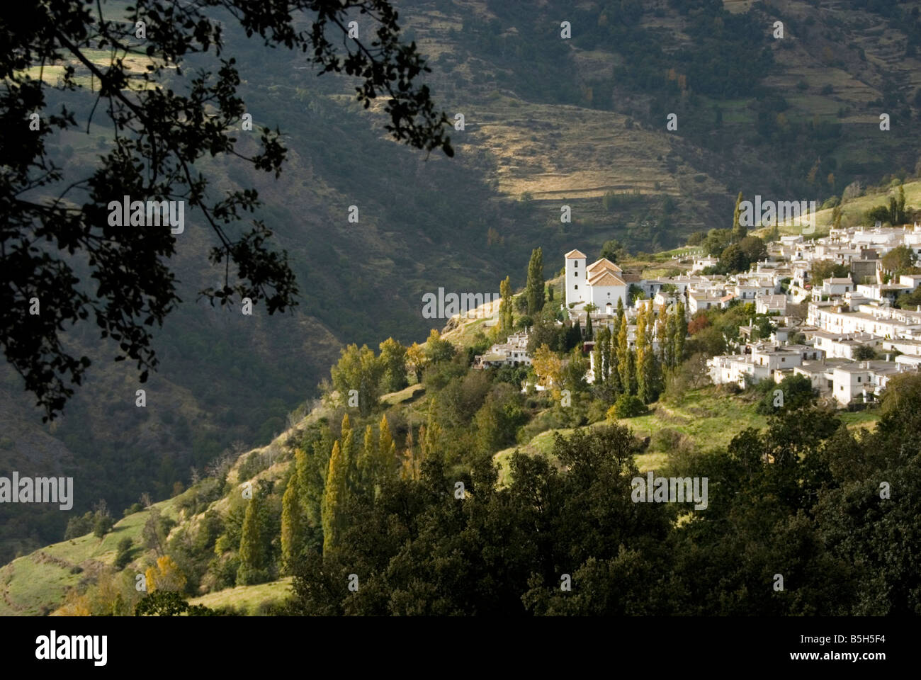 Whitewashed Andalusian village of Bubion in the Poqueira valley Sierra Nevada mountain range Alpujarra Spain Stock Photo