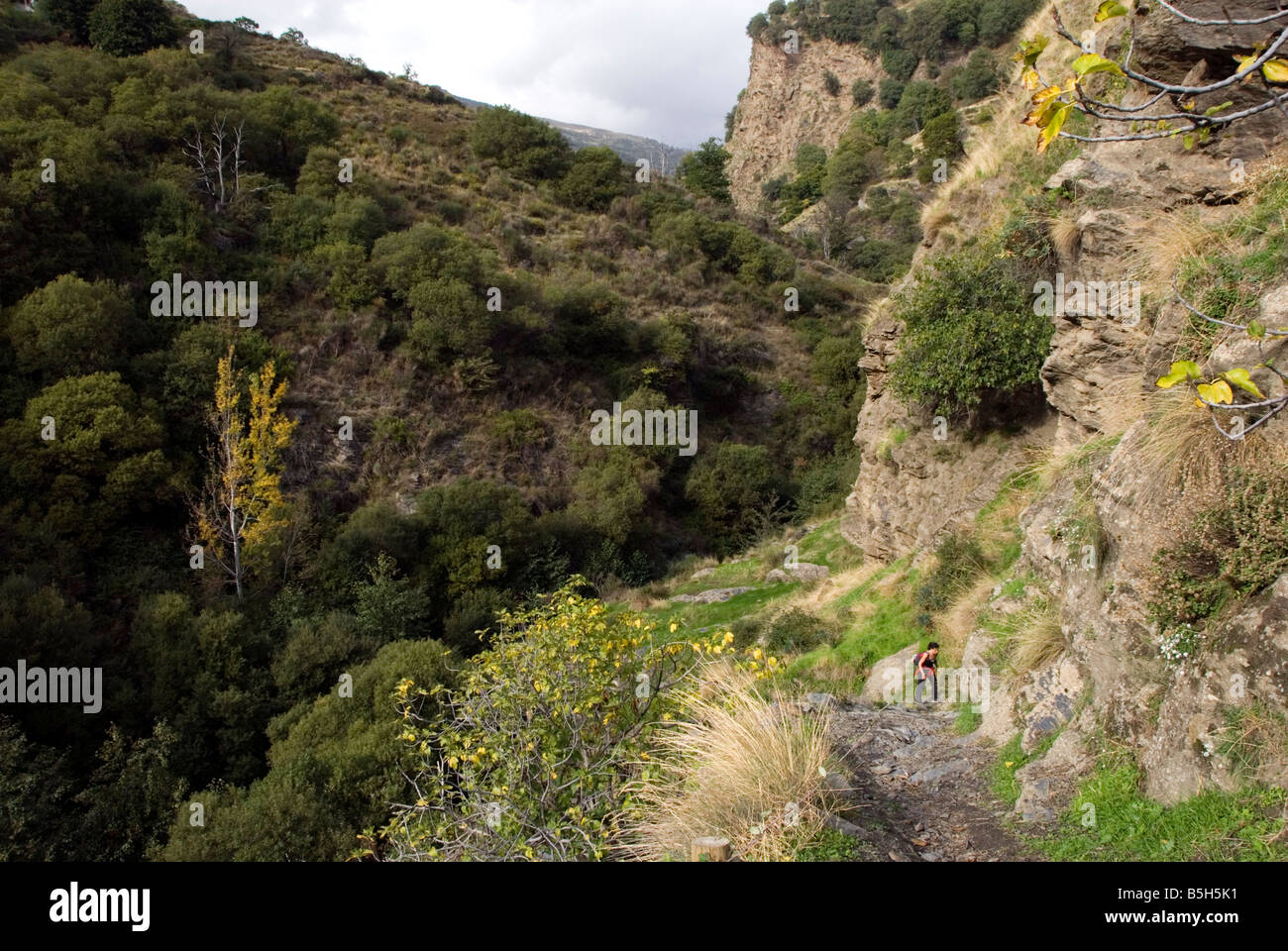 Trekking trekker hiking hiker hi-res stock photography and images - Alamy