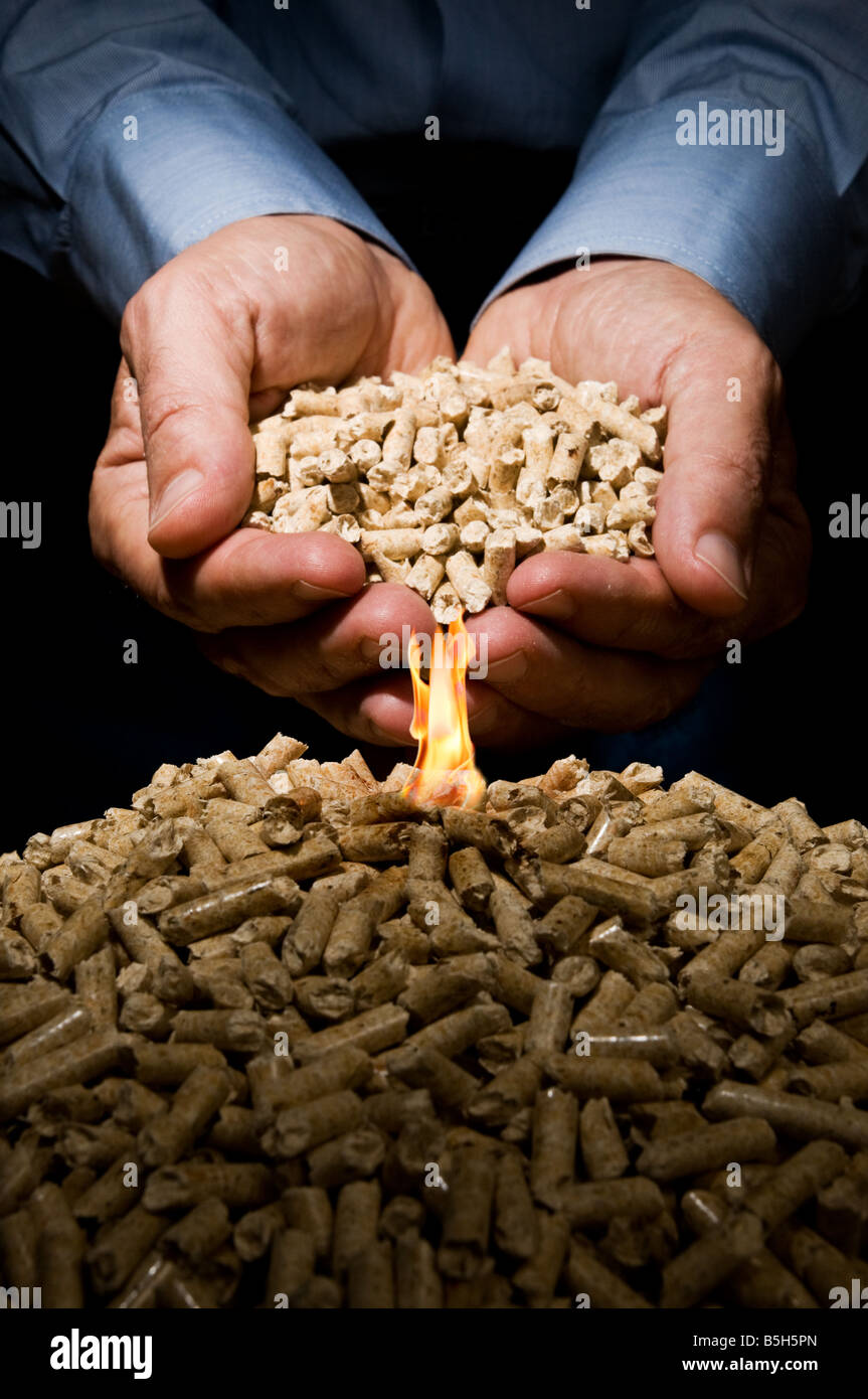 Hands full of wood pellets place some others on a burning heap for