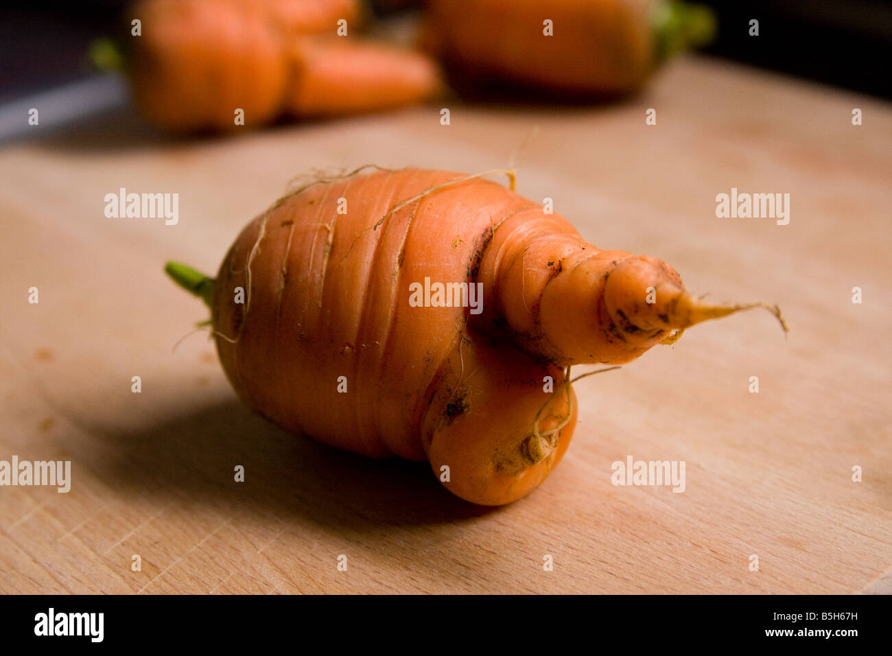Misshapen home-grown carrots on wooden chopping board Stock Photo