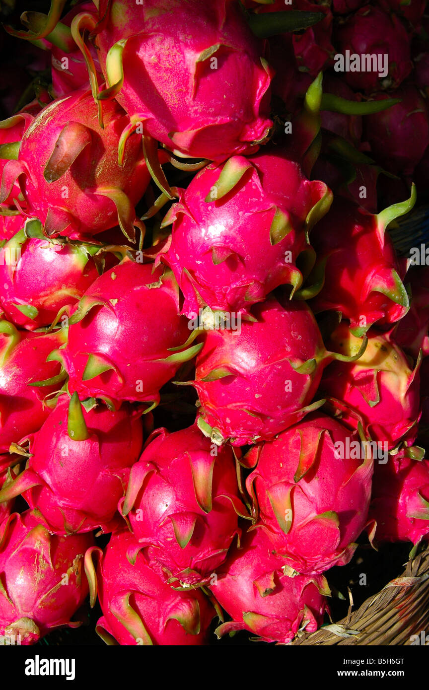 Red Dragon Fruits Pitaya Hylocereus undatus Stock Photo Alamy