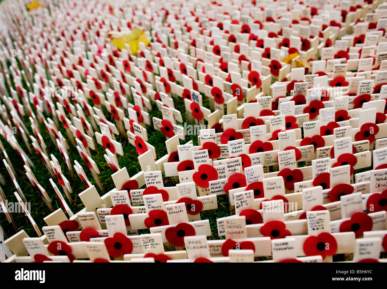 Poppies and crosses in the Field of Remembrance in the grounds of Westminster Abbey in London Stock Photo