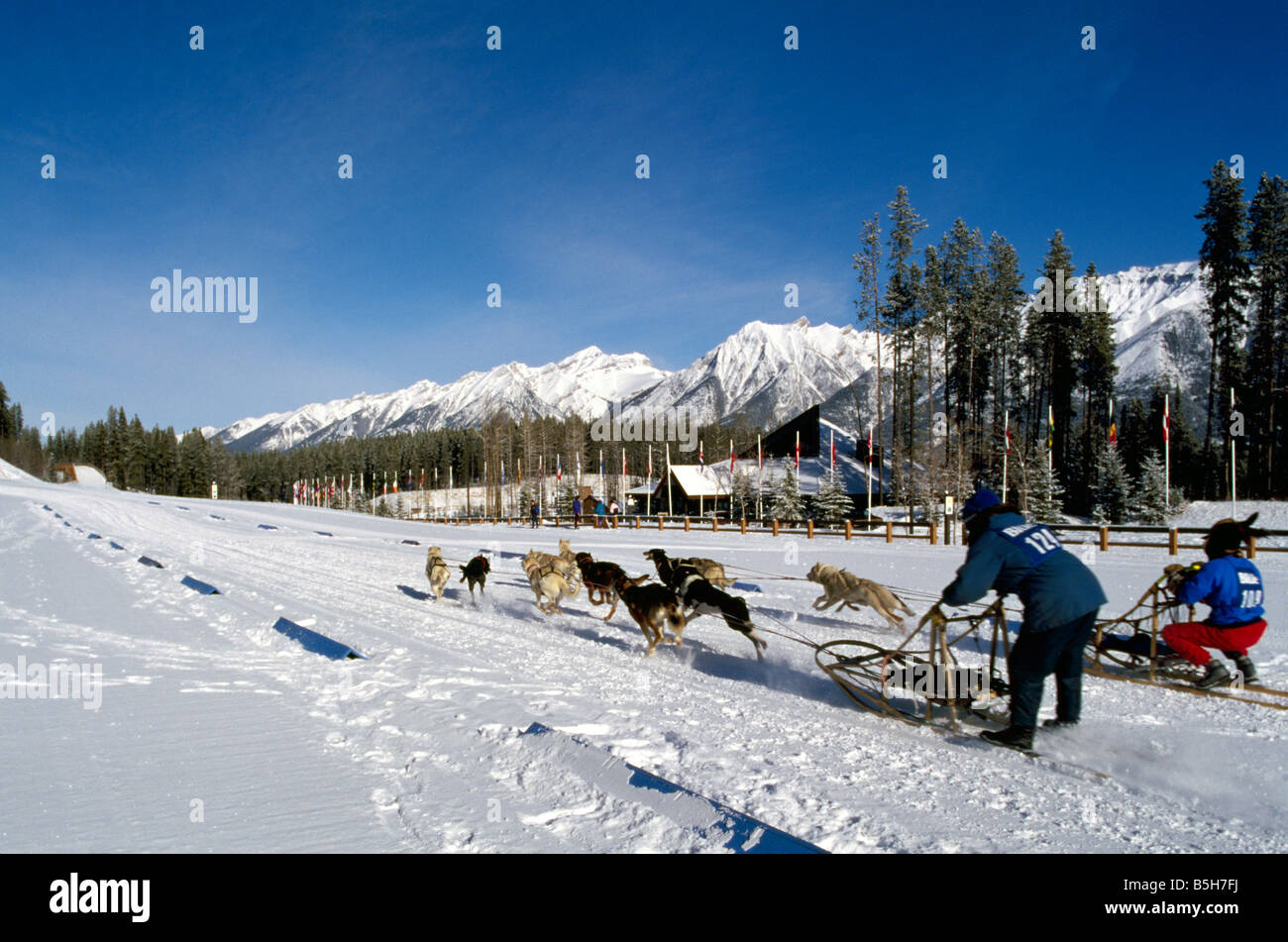 International Sled Dog Racing in Canmore Nordic Centre Provincial Park in the Canadian Rockies