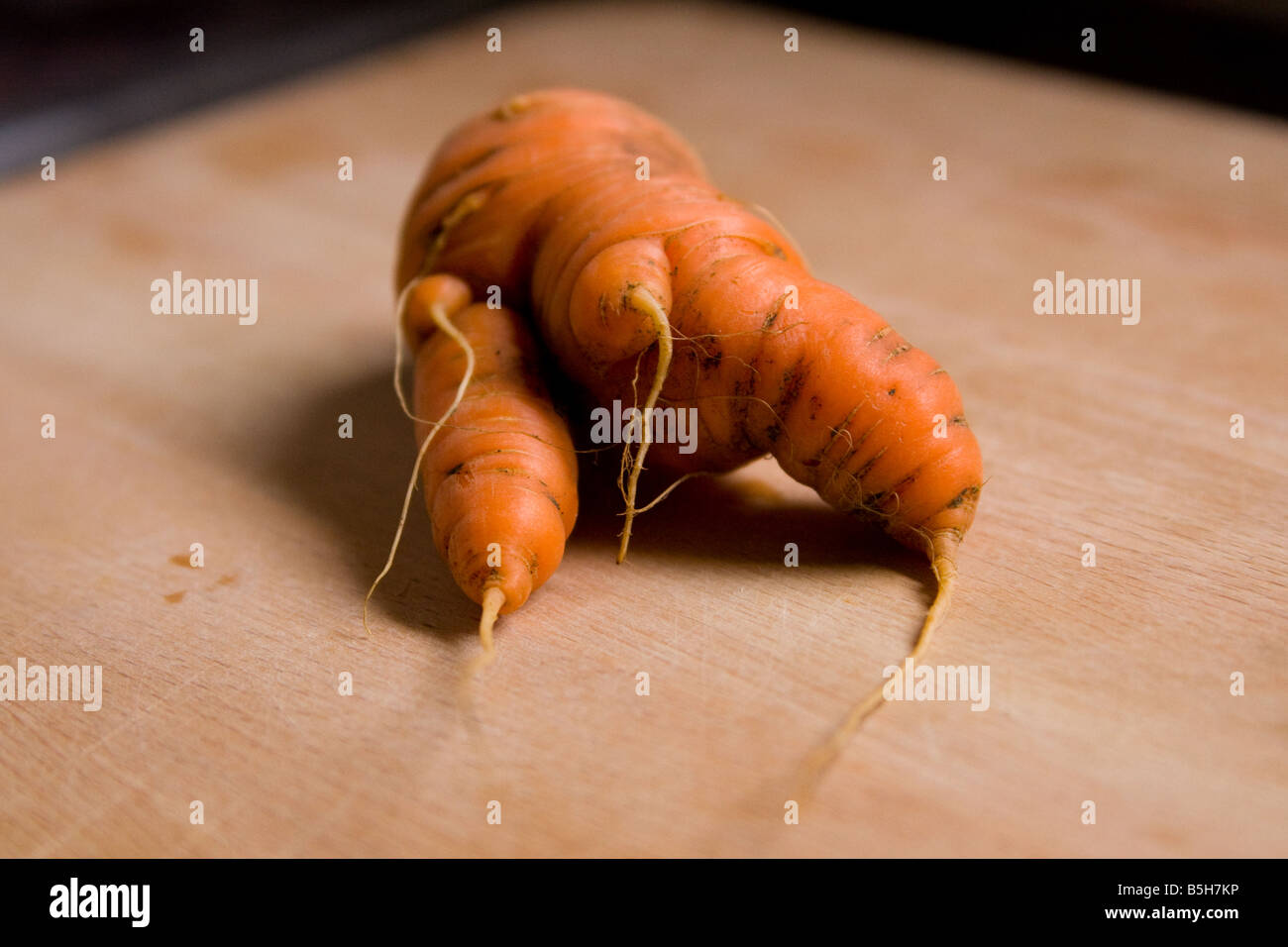 Misshapen home-grown carrots on wooden chopping board Stock Photo