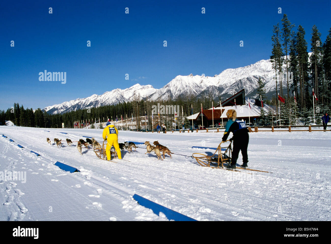 International Sled Dog Racing in Canmore Nordic Centre Provincial Park in the Canadian Rockies