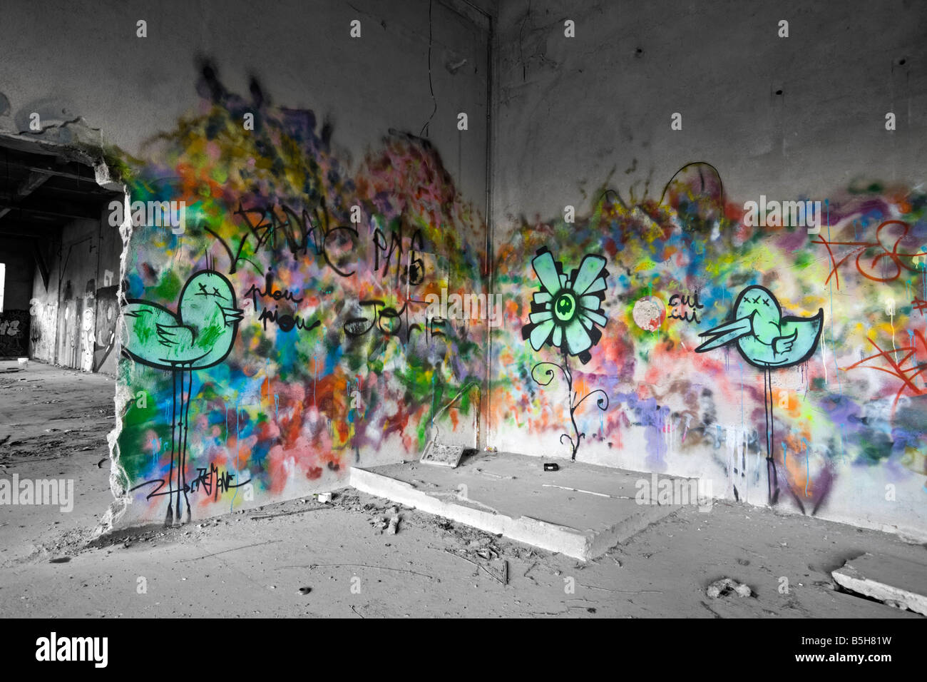 A piece of graffiti in a brownfield site factory (Allier - France). Graffiti dans une usine désaffectée de Cusset (France). Stock Photo