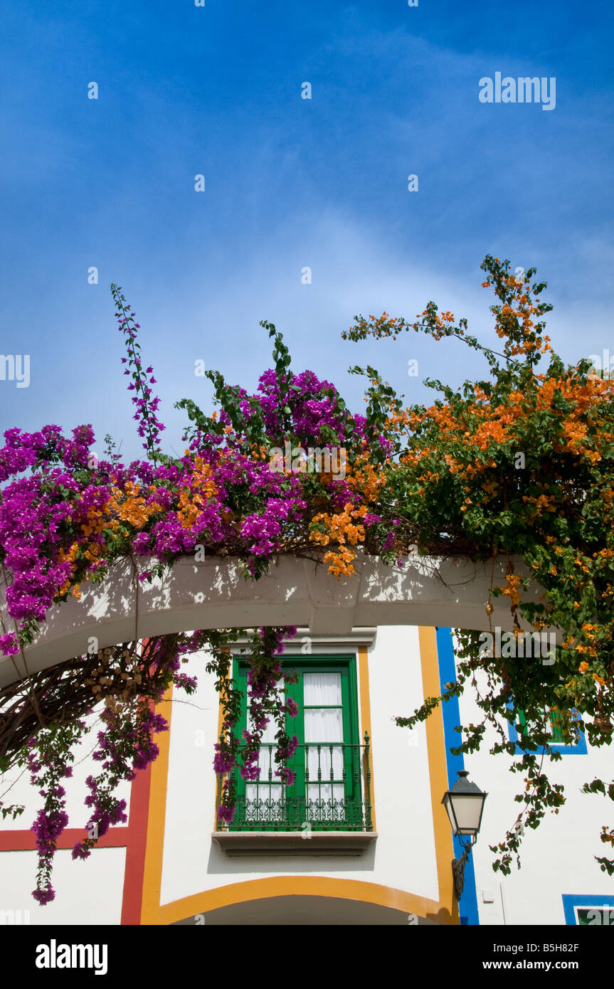 Bougainvillea  with typical Canary luxury holiday apartments behind Puerto de Mogan Gran Canaria Spain Stock Photo