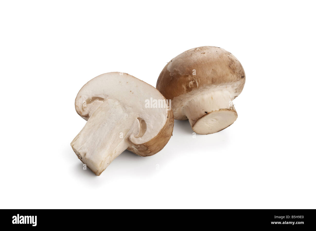 Chestnut Mushrooms Stock Photo