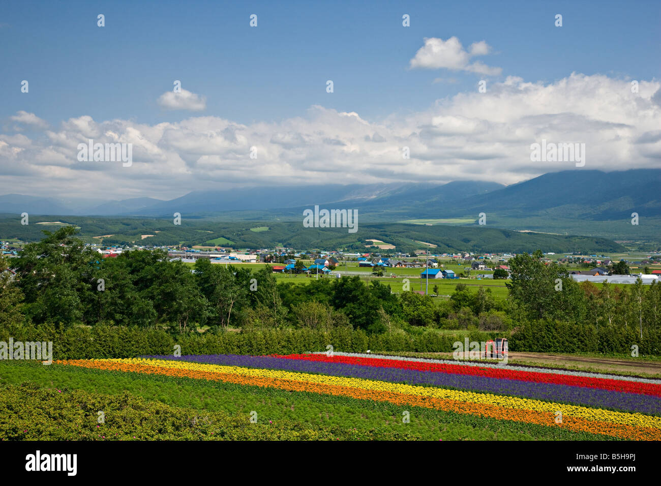 Farm Tomita, NakaFurano, Hokkaido, Japan Stock Photo Alamy
