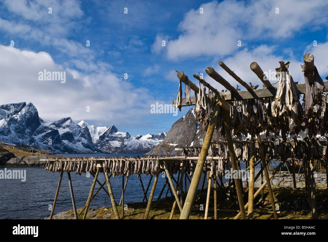 Medieval Fish Drying Rack Wooden fish drying rack with snow in the fjord hi-res stock photography ...