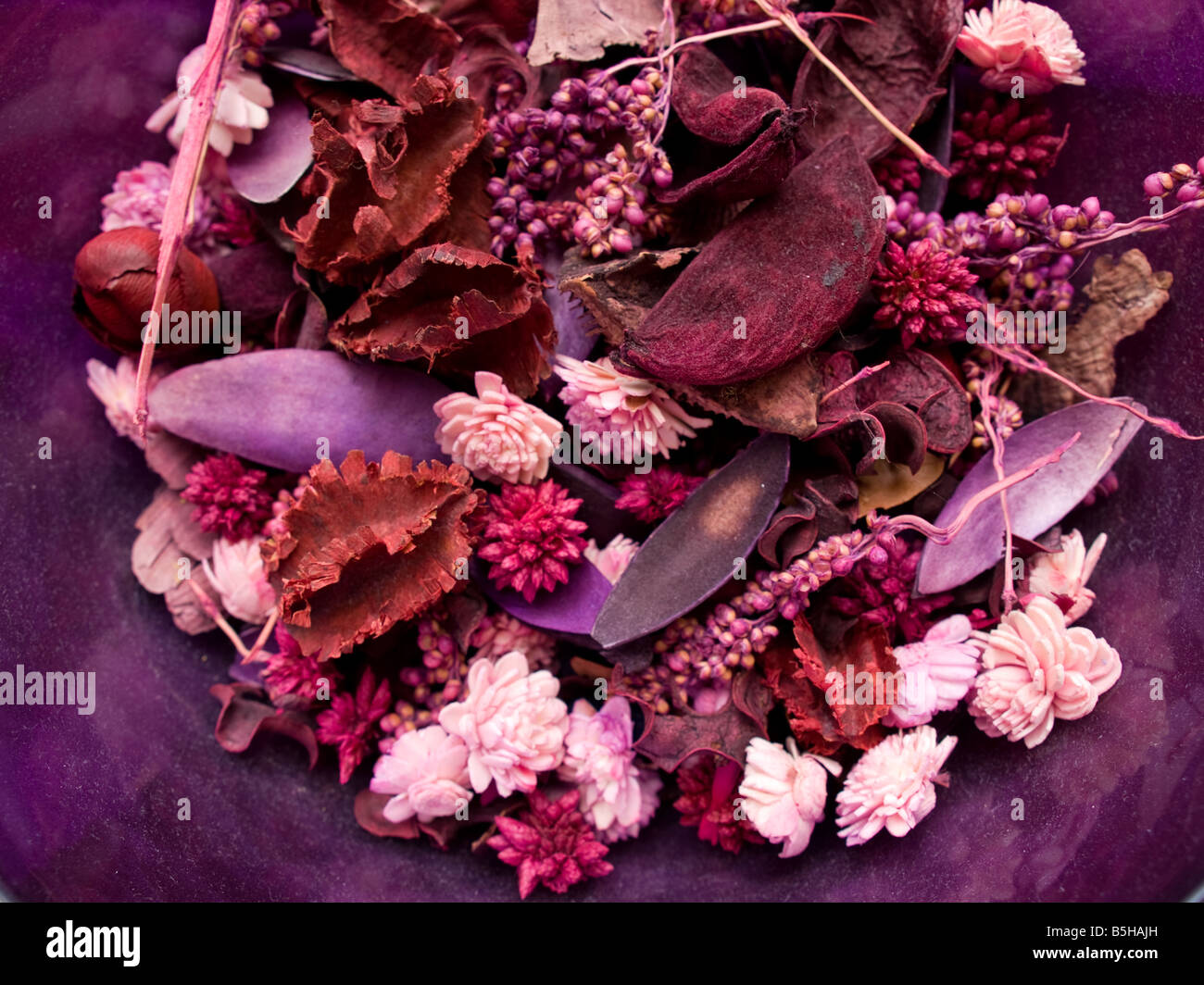 Potpourri leaves hires stock photography and images Alamy