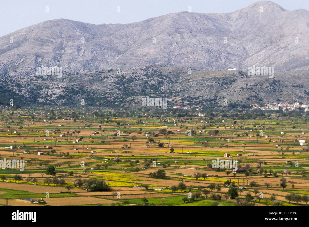 View at the Lassithi plateau on Crete Greece Stock Photo