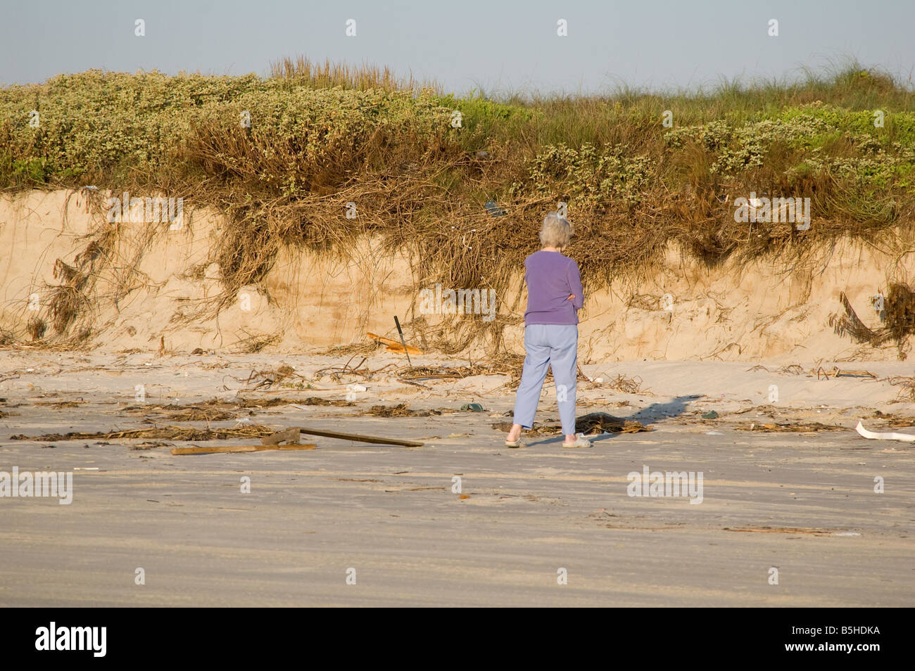 Hurricane debris hunting Stock Photo Alamy