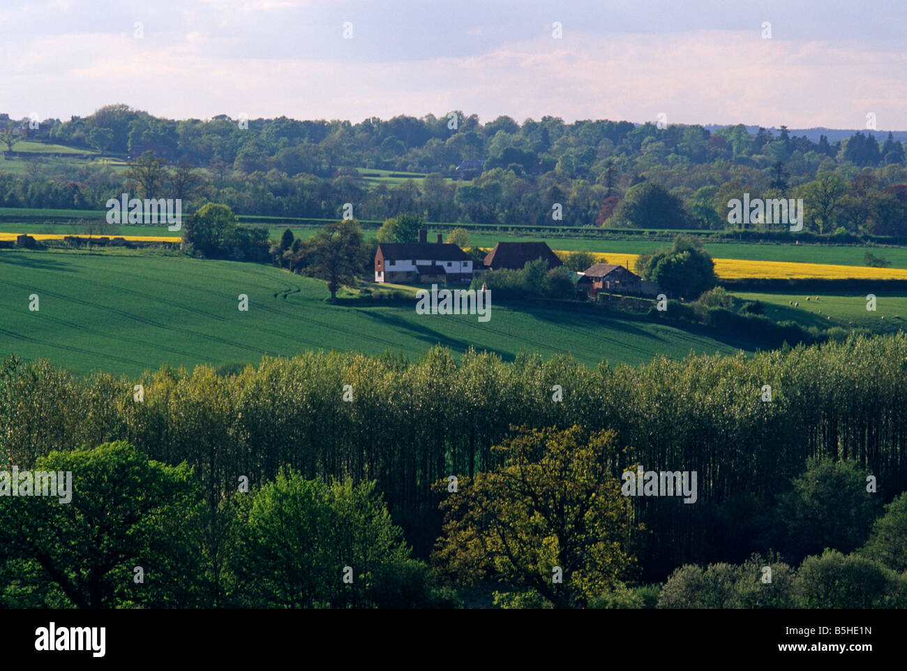 Wealden landscape, East Sussex, UK Stock Photo