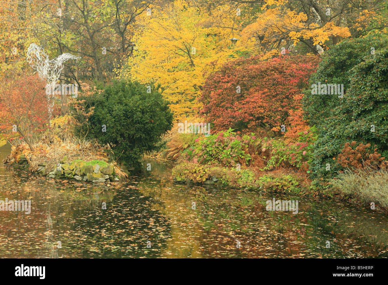 Quiet water and autumn colours colors Stock Photo