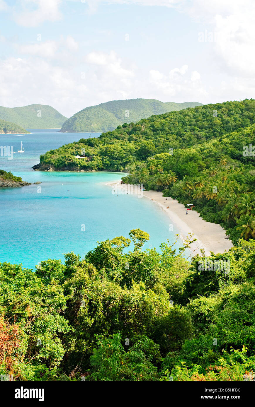 ST JOHN, US Virgin Islands Elevated view of the iconic Trunk Bay, St