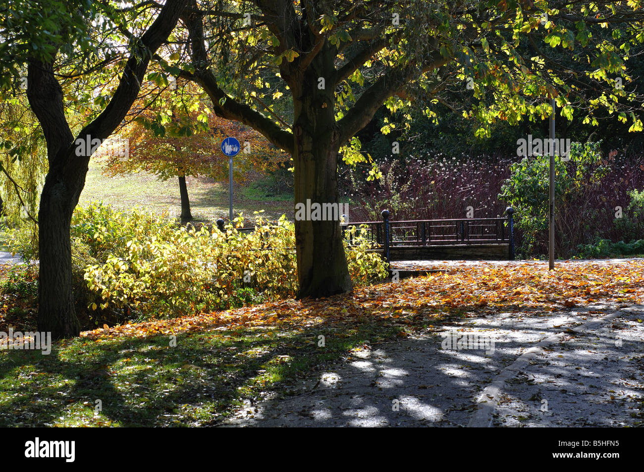 Tudor Grange Park in autumn, Solihull, West Midlands, England, UK Stock Photo