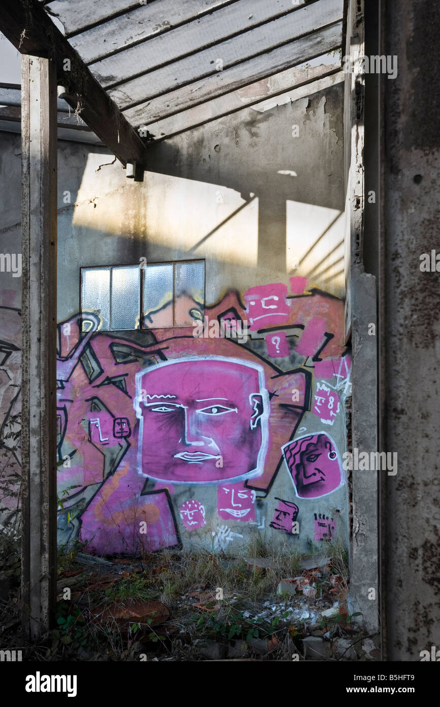 A piece of graffiti in a brownfield site factory (Allier France