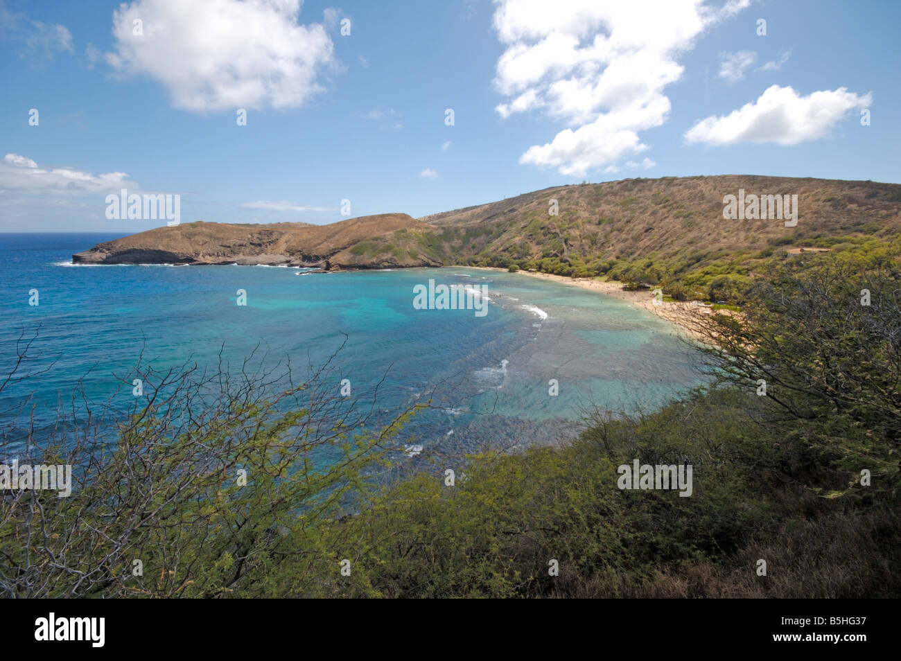Hanauma Bay Toilet Bowl